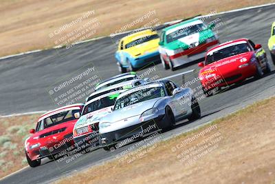 media/May-06-2023-Lucky Dog Racing (Sat) [[8f2256f436]]/Turn 2 10a/